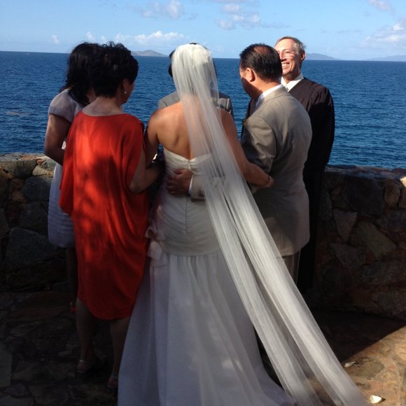 Amsale Wedding Gown - Sz 2 - Picture 9 of 10